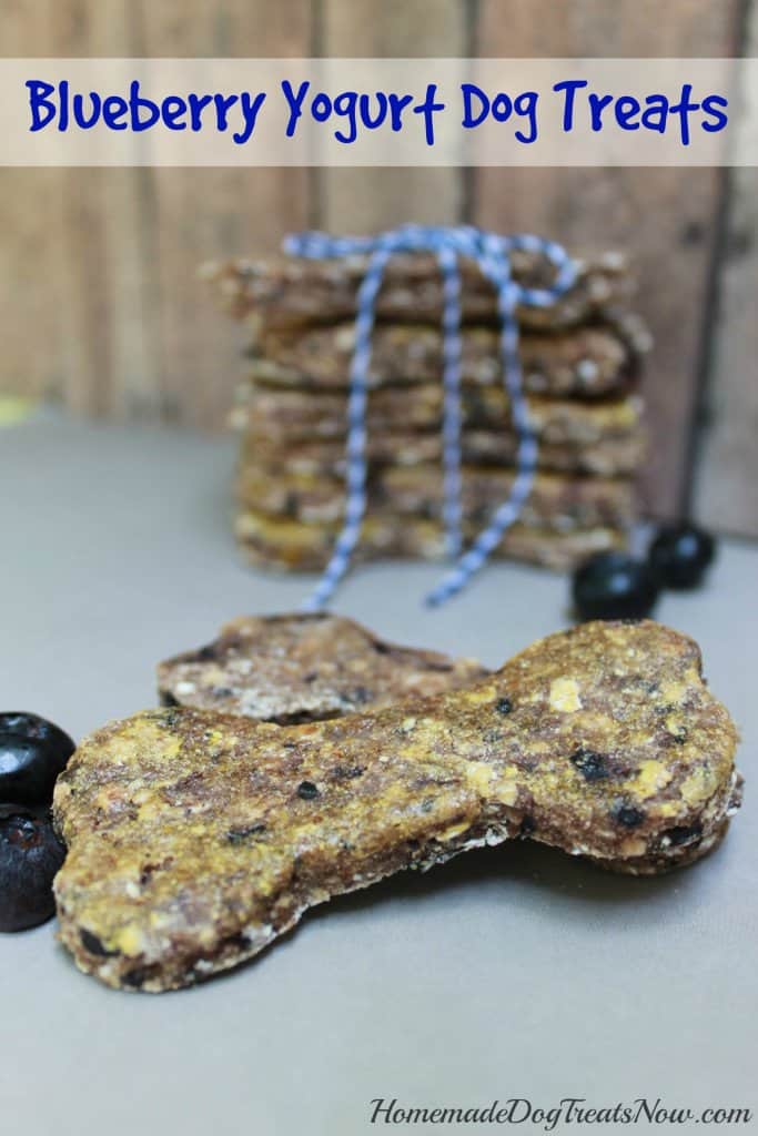 blueberry dog treats healthy homemade