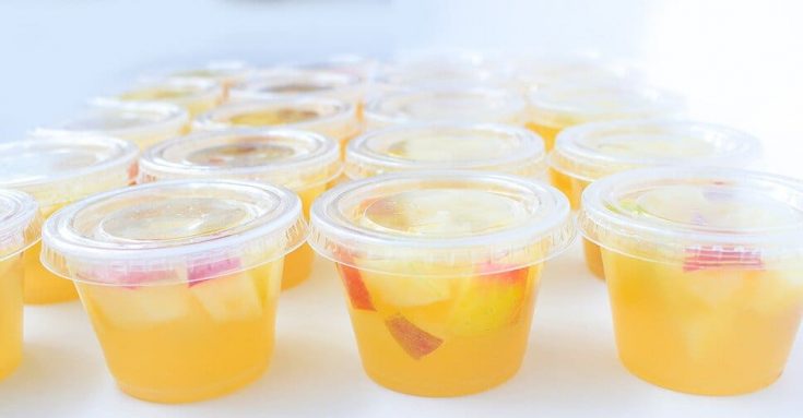 frozen apple and homemade dog treats with chicken broth