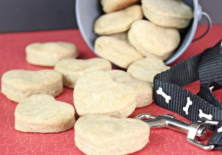 easy to make dog biscuits