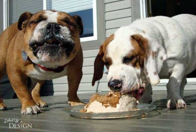 dog cake recipe easy