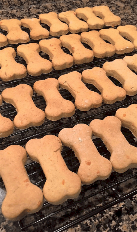 homemade dog biscuit recipe easy
