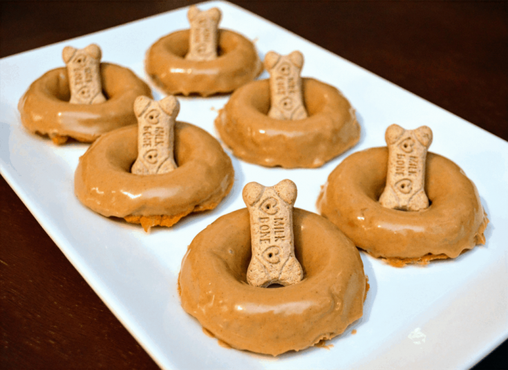 homemade dog cake donuts