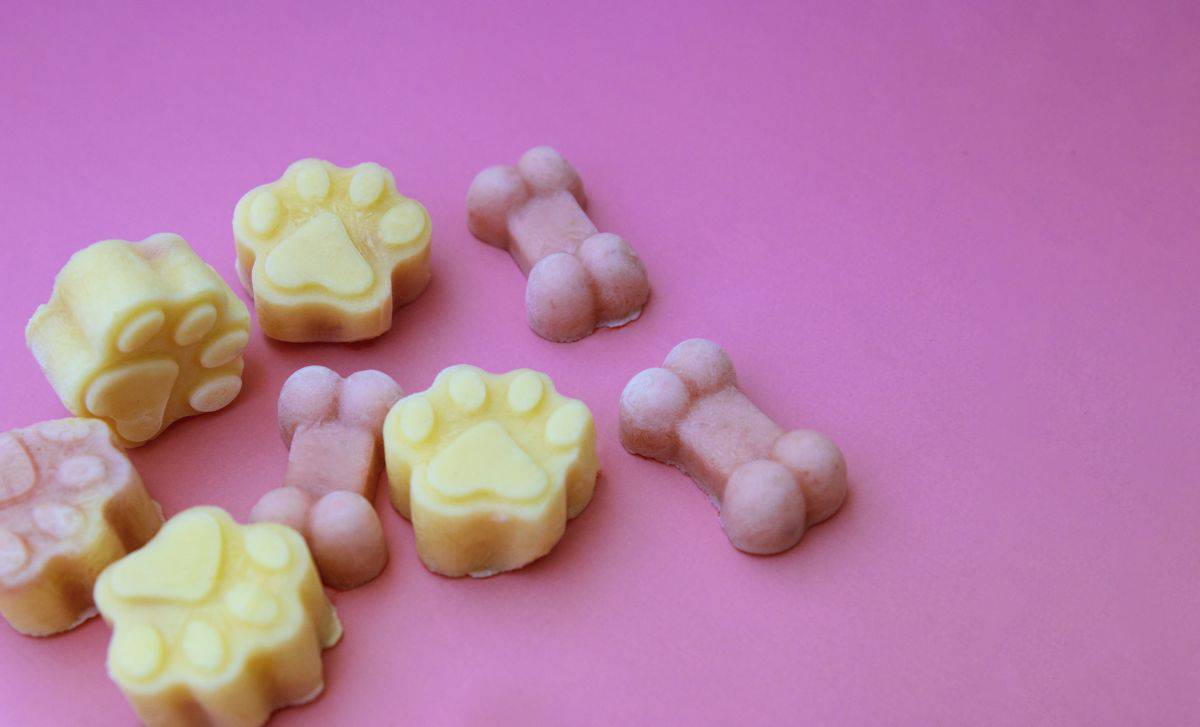 closeup of homemade dog treats recipes
