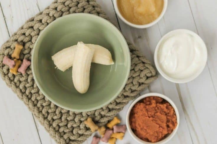 banana frozen pumpkin dog treats recipe ingredients