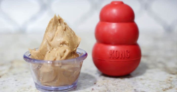 homemade kong filler treats