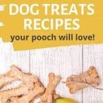 diy dog treat ingredients with text overlay homemade dog treats recipes