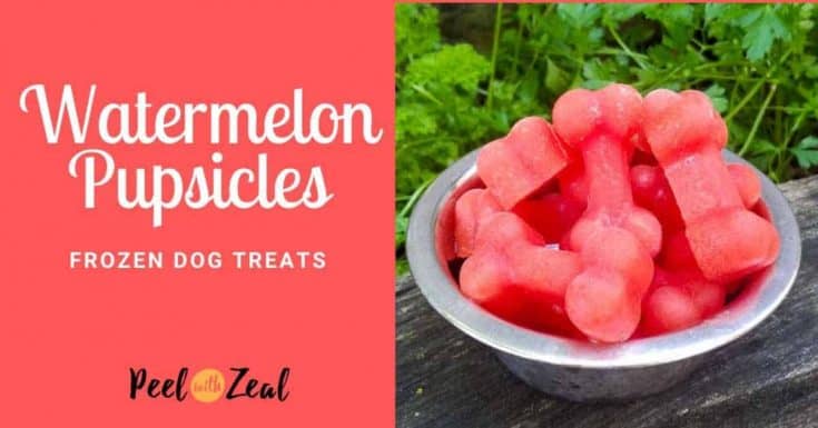 watermelon carrot frozen homemade dog treats