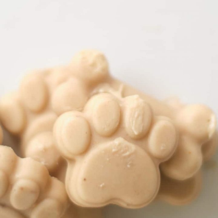 frozen peanut butter banana dog treats with kefir for dogs.