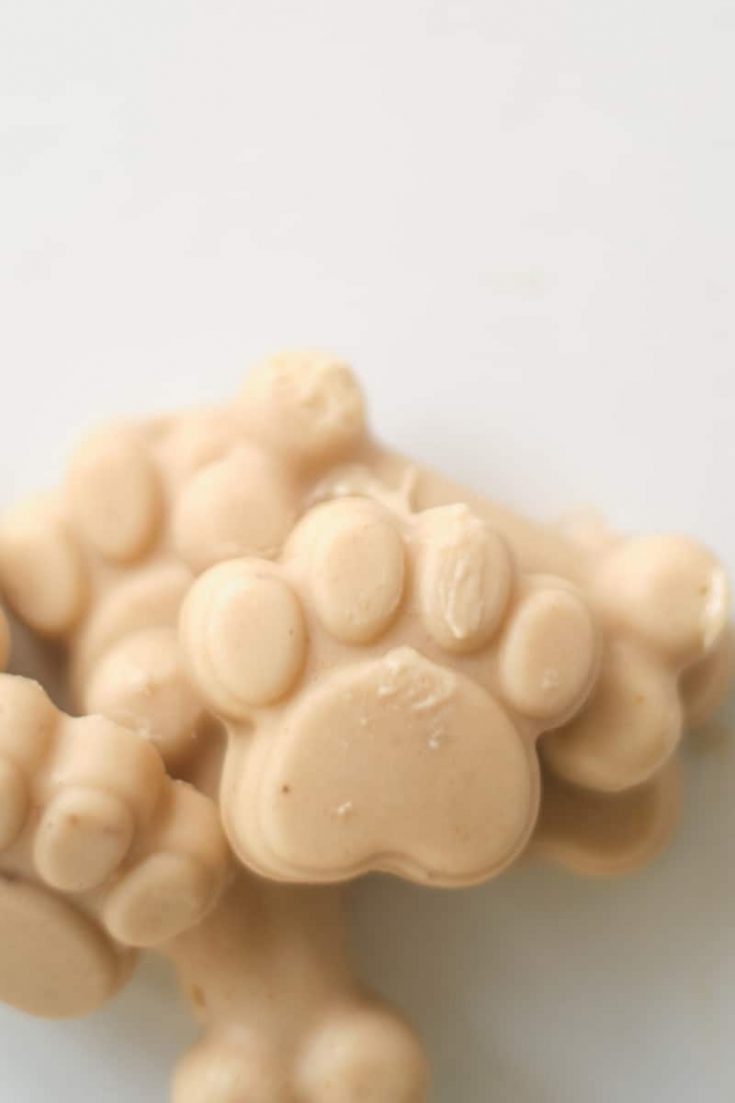 frozen peanut butter banana dog treats with kefir for dogs.