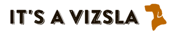 It's A Vizsla