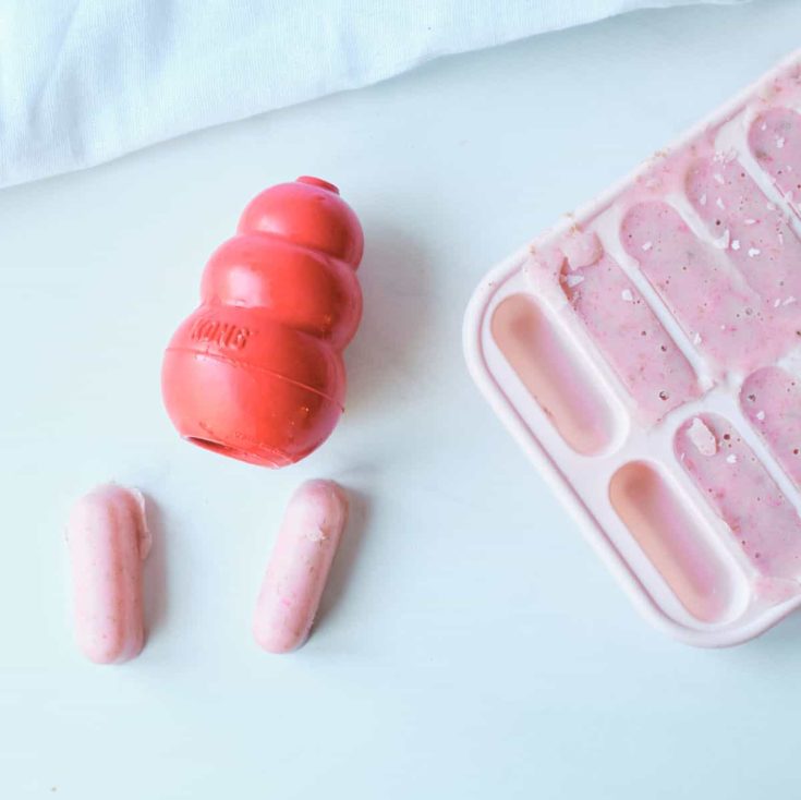 frozen strawberry banana dog treats with red kong and ice cube tray.