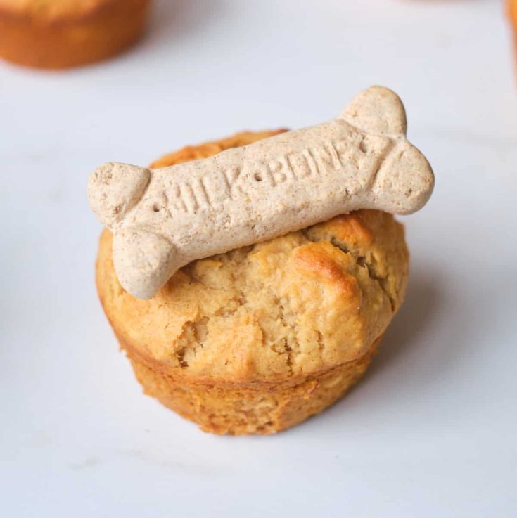 homemade banana and peanut butter pupcake with milk bone dog treat on top.