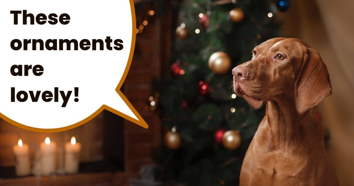 Hungarian vizsla dog sitting next to christmas tree with ornaments on it and text overlay "these ornaments are lovely!".
