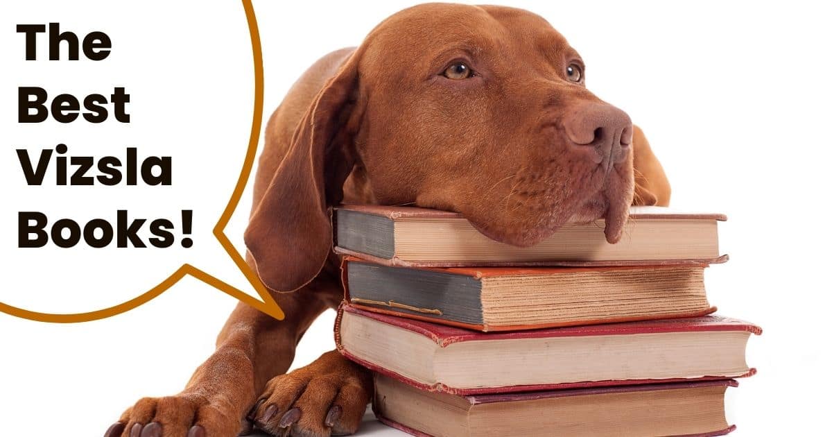 Hungarian vizsla resting head on stack of books with text overlay the best vizsla books.