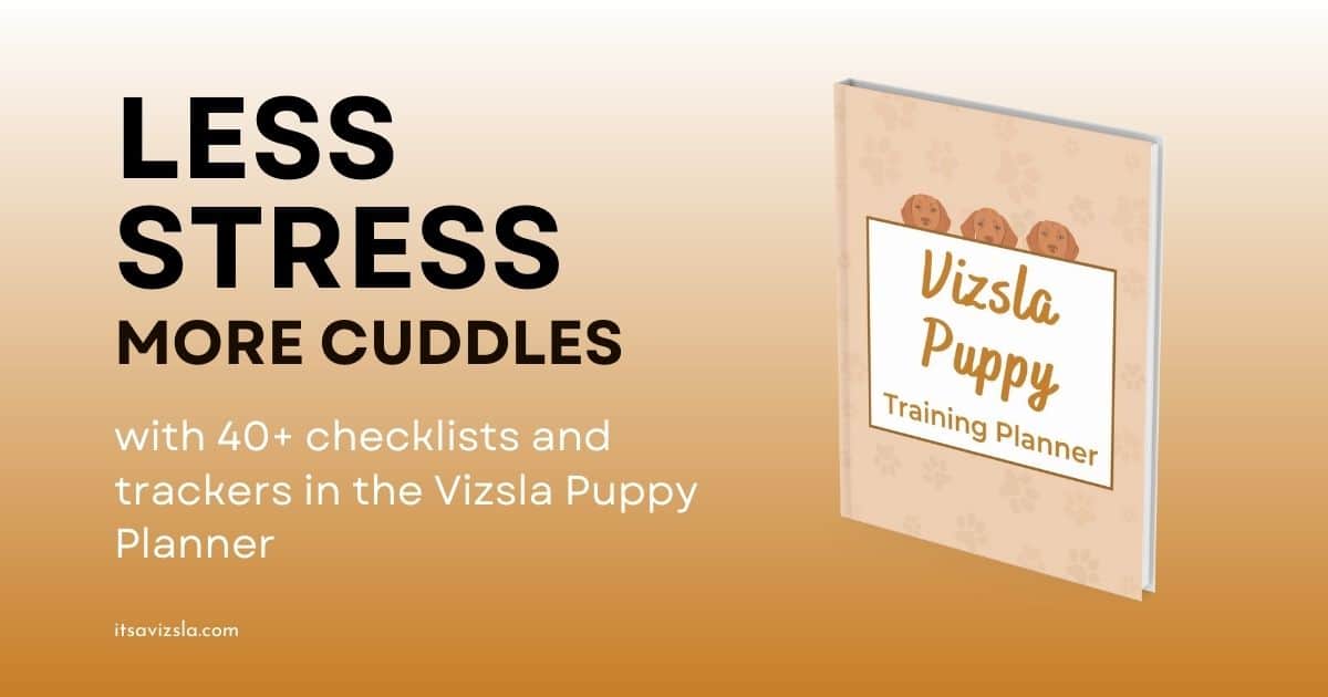 Vizsla Puppy Planner Promotion.