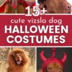 collage of vizsla costumes with text overlay 15+ cute vizsla dog halloween costumes.