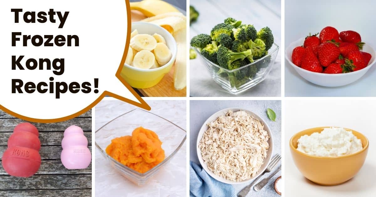 Collage of frozen kong ingredients with text tasty frozen kong recipes.