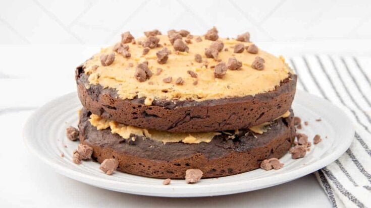 Image for Carob Cake For Dogs Recipe