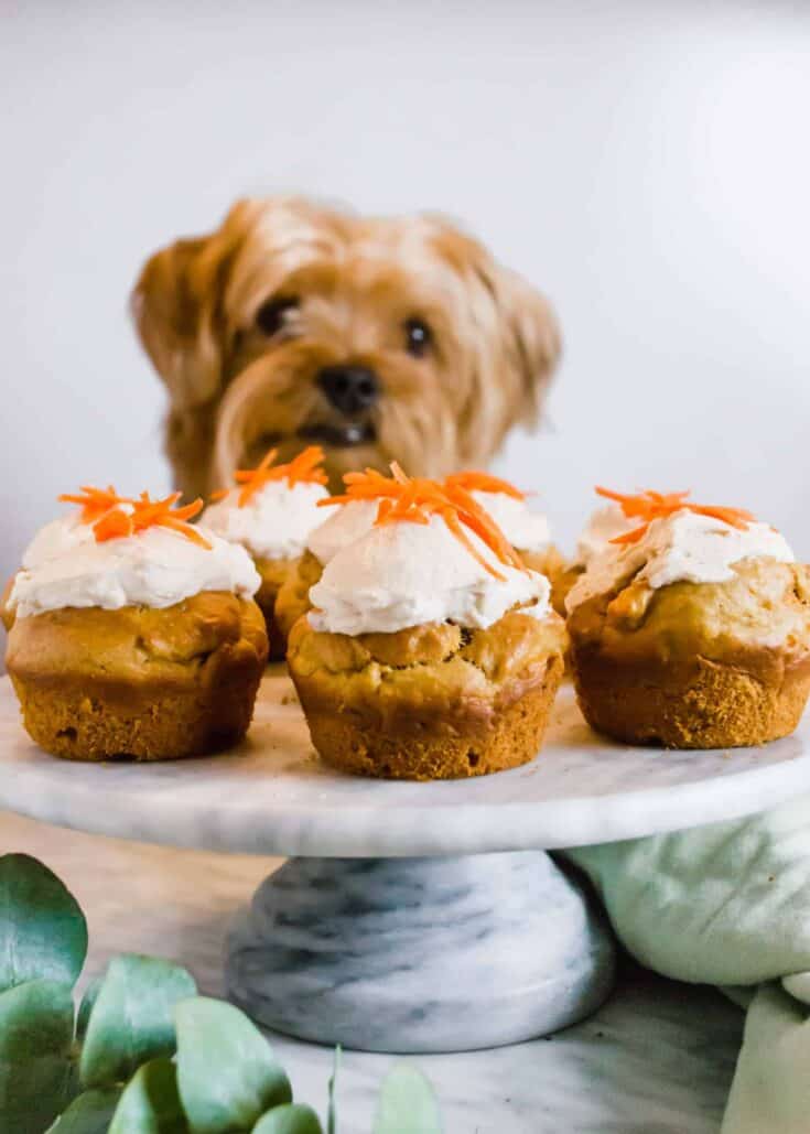 Image for Peanut Butter and Carrot Cupcakes for Dogs