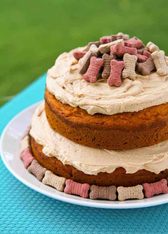 Image for Pumpkin Peanut Butter Dog Cake