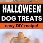 two images of pumpkin dog treats with text Halloween dog treats easy DIY recipe.