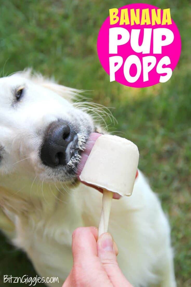 Image for Frozen Banana Pup Pops