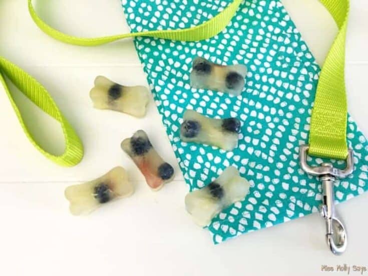 Image for Homemade Frozen Apple and Blueberry Dog Treats