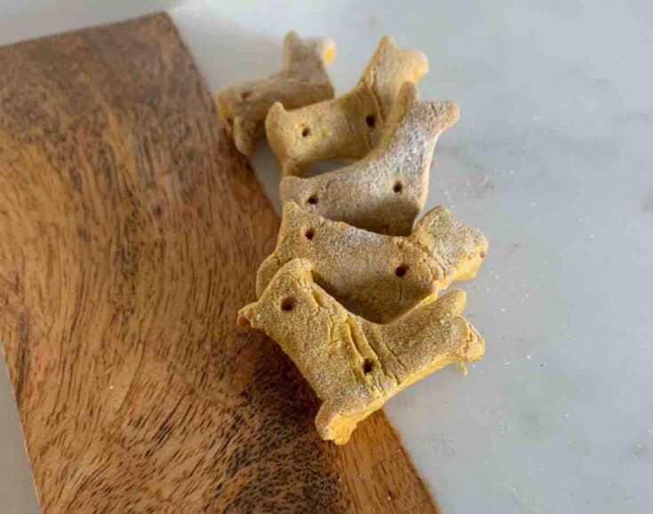 Image for Cheesy Pumpkin Gluten-Free Homemade Dog Treats