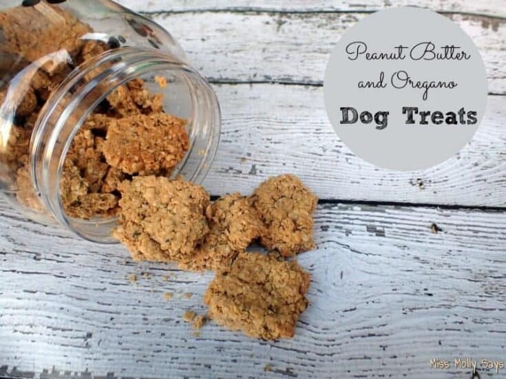 Image for Gluten Free Peanut Butter Dog Biscuits