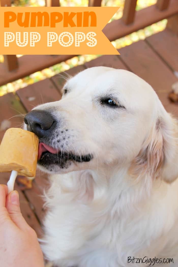 Image for Easy Frozen Pumpkin Pup Pops