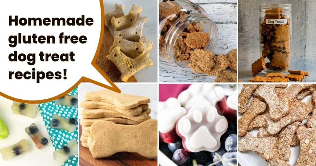 collage of diy dog treats with text overlay homemade gluten free dog treat recipes.
