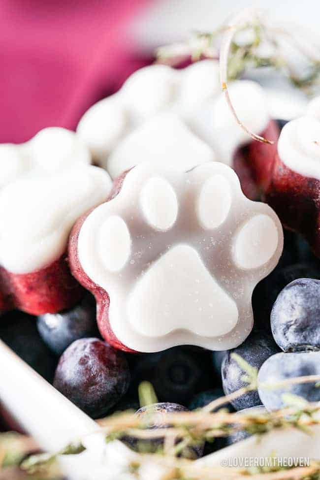Image for Blueberry Coconut Frozen Dog Treats