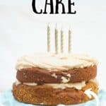doggie cake with text overlay easy doggie birthday cake.