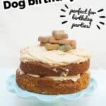 dog cake with text overlay homemade dog birthday cake.