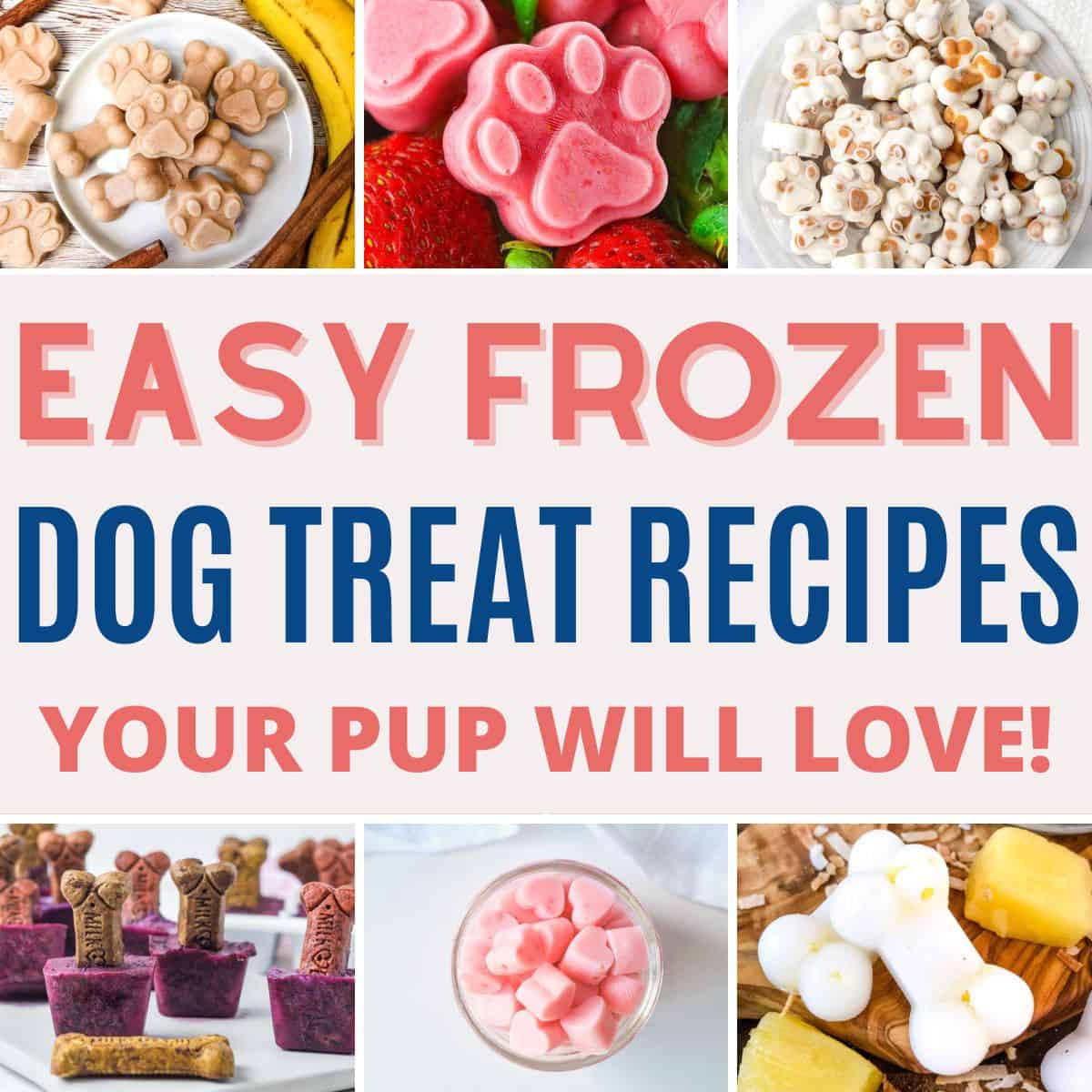 collage of frozen treats for dogs with text overlay easy frozen dog treat recipes your pup will love.